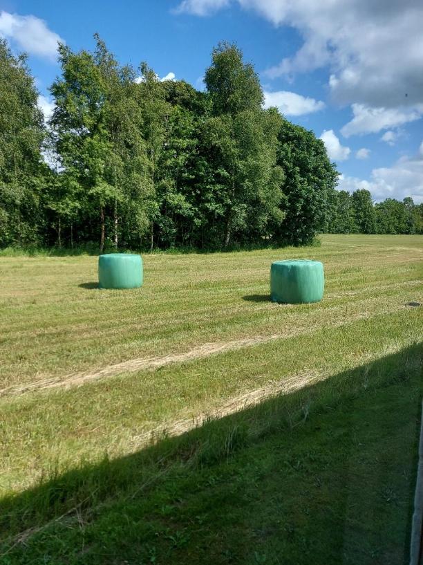 Lovely Room, Easy Access To E45 Highway Rask Molle Exterior photo