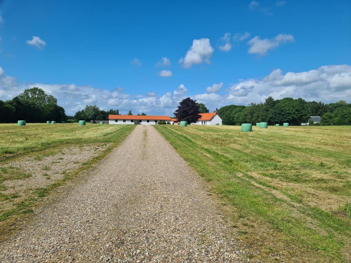 Lovely Room, Easy Access To E45 Highway Rask Molle Exterior photo